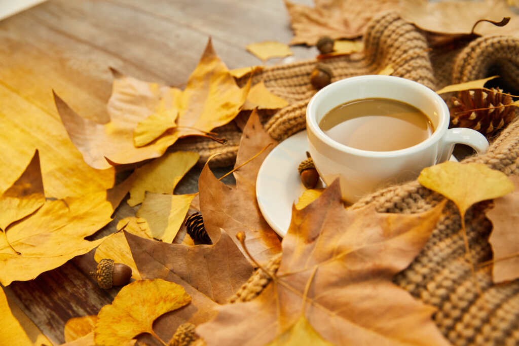 coffee-in-autumn-adjust-the-grind