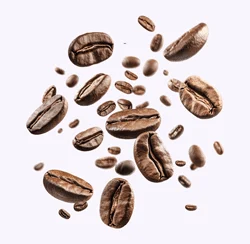 rb 86592 1 — Cafemalin